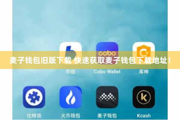 麦子钱包旧版下载 快速获取麦子钱包下载地址！