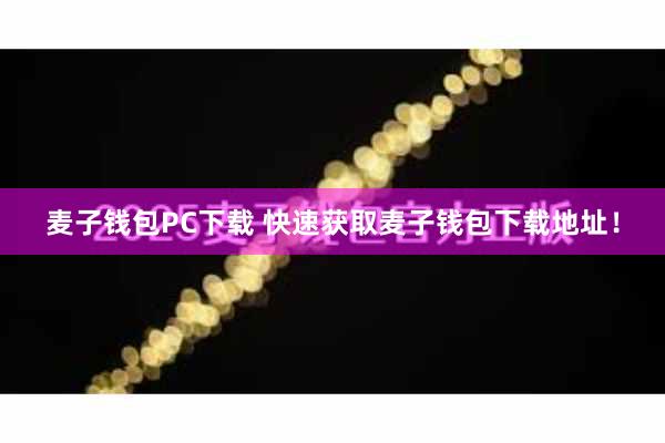 麦子钱包PC下载 快速获取麦子钱包下载地址！