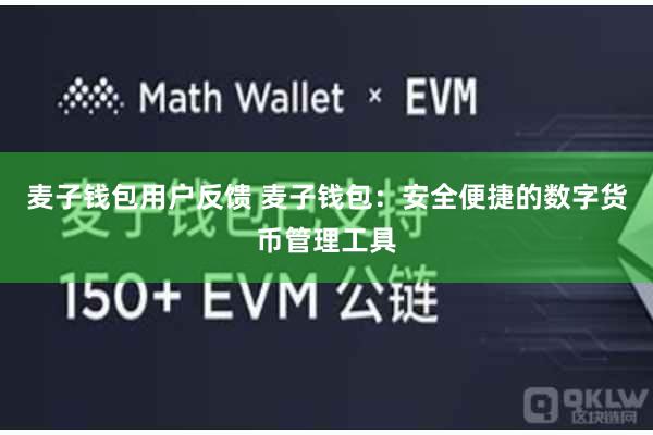 麦子钱包用户反馈 麦子钱包：安全便捷的数字货币管理工具