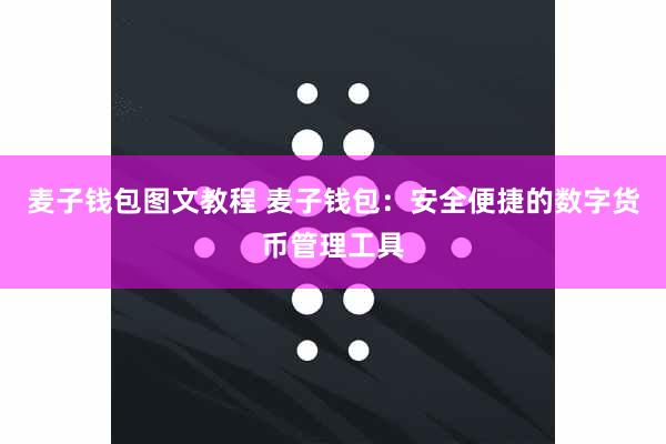 麦子钱包图文教程 麦子钱包：安全便捷的数字货币管理工具