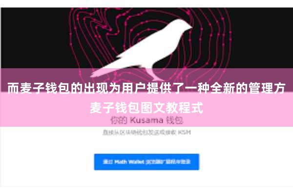 而麦子钱包的出现为用户提供了一种全新的管理方麦子钱包图文教程式