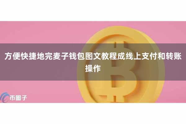 方便快捷地完麦子钱包图文教程成线上支付和转账操作