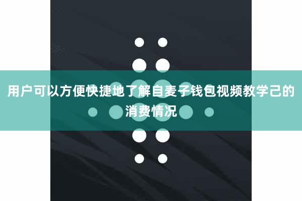 用户可以方便快捷地了解自麦子钱包视频教学己的消费情况