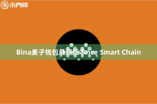 Bina麦子钱包最新版本nce Smart Chain