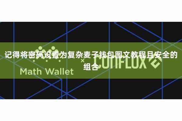 记得将密码设置为复杂麦子钱包图文教程且安全的组合