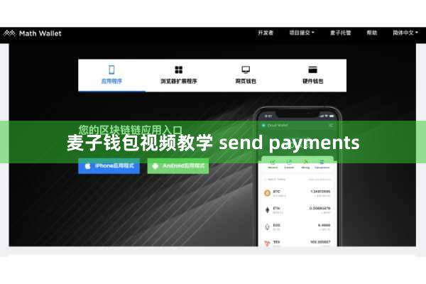麦子钱包视频教学 send payments