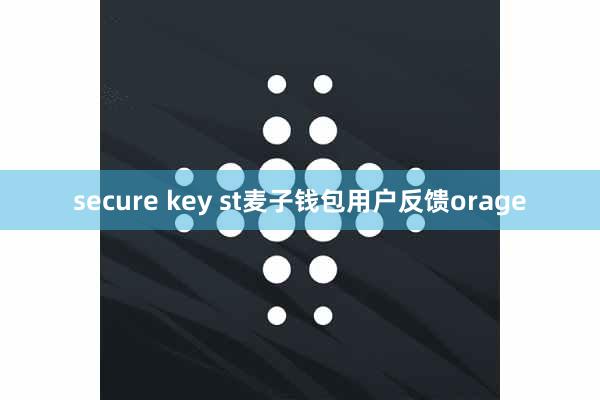 secure key st麦子钱包用户反馈orage