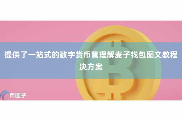 提供了一站式的数字货币管理解麦子钱包图文教程决方案