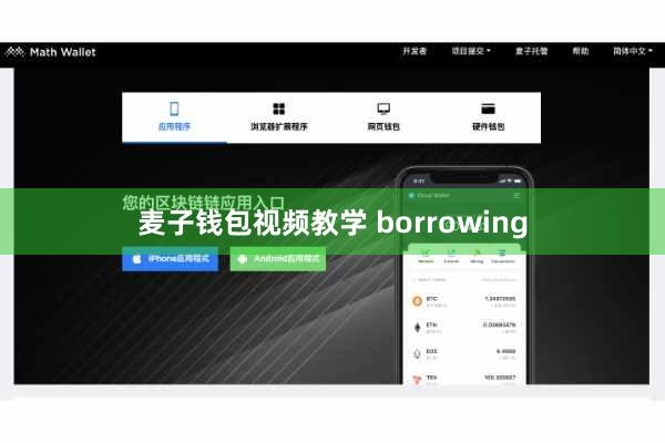 麦子钱包视频教学 borrowing