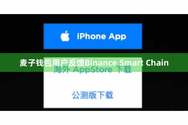 麦子钱包用户反馈Binance Smart Chain