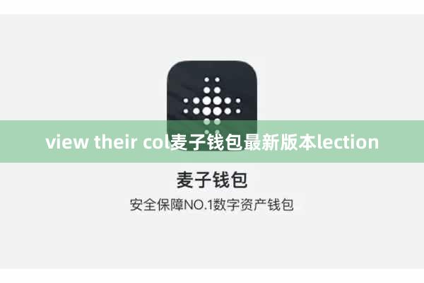 view their col麦子钱包最新版本lection
