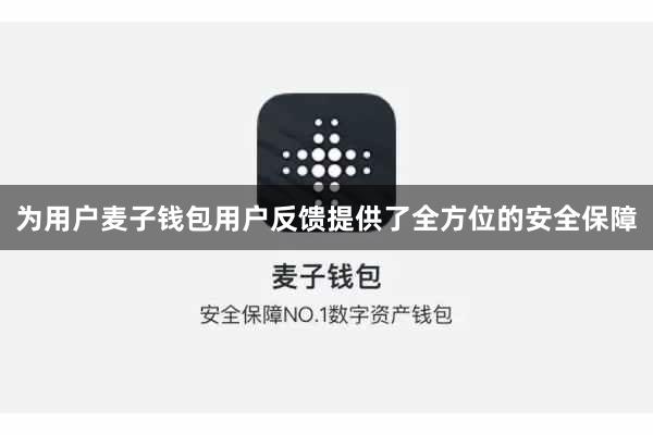 为用户麦子钱包用户反馈提供了全方位的安全保障