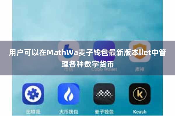 用户可以在MathWa麦子钱包最新版本llet中管理各种数字货币