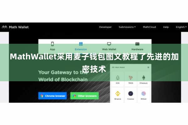 MathWallet采用麦子钱包图文教程了先进的加密技术