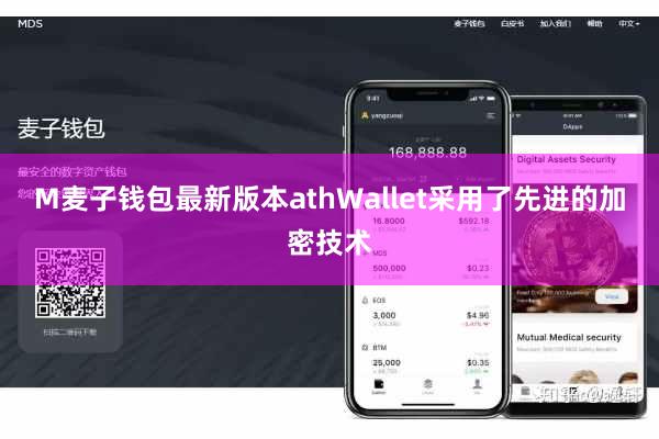 M麦子钱包最新版本athWallet采用了先进的加密技术
